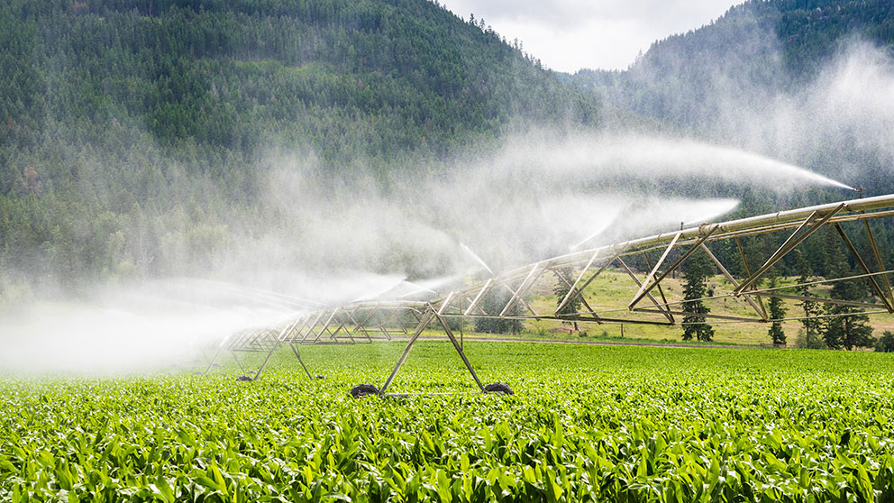Mise en valeur de terres agricoles